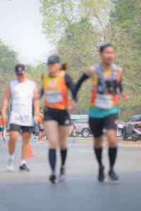 BIB: 
                            <button type="button" onclick="openModal(8094884)" class="btn btn-primary btn-sm float-right btn-popup" data-toggle="modal" data-target=".modal-high-quality">
                        <i class="fas fa-shopping-cart"></i> Add to Cart
                    </button>
                                            <button type="button" onclick="isThisMe(8094884, true)" class="btn btn-success btn-sm float-right btn-popup btn-isme hidden" data-toggle="tooltip" data-placement="bottom" title="นี่คือรูปของคุณใช่ไหม คลิกที่นี่เพื่อเอาเข้าอัลบั้ม">
                        <i class="fas fa-plus"></i> Add to album
                    </button>
                    <button type="button" onclick="isThisMe(8094884, false)" class="btn btn-warning btn-sm float-right btn-popup btn-isnotme hidden">
                        <i class="fas fa-ban"></i> Remove from album
                    </button>