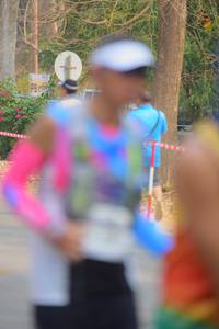 BIB: 
                            <button type="button" onclick="openModal(8065447)" class="btn btn-primary btn-sm float-right btn-popup" data-toggle="modal" data-target=".modal-high-quality">
                        <i class="fas fa-shopping-cart"></i> Add to Cart
                    </button>
                                            <button type="button" onclick="isThisMe(8065447, true)" class="btn btn-success btn-sm float-right btn-popup btn-isme hidden" data-toggle="tooltip" data-placement="bottom" title="นี่คือรูปของคุณใช่ไหม คลิกที่นี่เพื่อเอาเข้าอัลบั้ม">
                        <i class="fas fa-plus"></i> Add to album
                    </button>
                    <button type="button" onclick="isThisMe(8065447, false)" class="btn btn-warning btn-sm float-right btn-popup btn-isnotme hidden">
                        <i class="fas fa-ban"></i> Remove from album
                    </button>