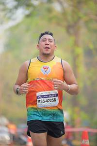 BIB: 12195, 42256
                            <button type="button" onclick="openModal(9962902)" class="btn btn-primary btn-sm float-right btn-popup" data-toggle="modal" data-target=".modal-high-quality">
                        <i class="fas fa-shopping-cart"></i> Add to Cart
                    </button>
                                            <button type="button" onclick="isThisMe(9962902, true)" class="btn btn-success btn-sm float-right btn-popup btn-isme hidden" data-toggle="tooltip" data-placement="bottom" title="นี่คือรูปของคุณใช่ไหม คลิกที่นี่เพื่อเอาเข้าอัลบั้ม">
                        <i class="fas fa-plus"></i> Add to album
                    </button>
                    <button type="button" onclick="isThisMe(9962902, false)" class="btn btn-warning btn-sm float-right btn-popup btn-isnotme hidden">
                        <i class="fas fa-ban"></i> Remove from album
                    </button>