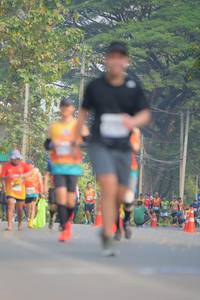 BIB: 
                            <button type="button" onclick="openModal(10289589)" class="btn btn-primary btn-sm float-right btn-popup" data-toggle="modal" data-target=".modal-high-quality">
                        <i class="fas fa-shopping-cart"></i> Add to Cart
                    </button>
                                            <button type="button" onclick="isThisMe(10289589, true)" class="btn btn-success btn-sm float-right btn-popup btn-isme hidden" data-toggle="tooltip" data-placement="bottom" title="นี่คือรูปของคุณใช่ไหม คลิกที่นี่เพื่อเอาเข้าอัลบั้ม">
                        <i class="fas fa-plus"></i> Add to album
                    </button>
                    <button type="button" onclick="isThisMe(10289589, false)" class="btn btn-warning btn-sm float-right btn-popup btn-isnotme hidden">
                        <i class="fas fa-ban"></i> Remove from album
                    </button>