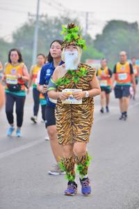 BIB: 114
                            <button type="button" onclick="openModal(9084094)" class="btn btn-primary btn-sm float-right btn-popup" data-toggle="modal" data-target=".modal-high-quality">
                        <i class="fas fa-shopping-cart"></i> Add to Cart
                    </button>
                                            <button type="button" onclick="isThisMe(9084094, true)" class="btn btn-success btn-sm float-right btn-popup btn-isme hidden" data-toggle="tooltip" data-placement="bottom" title="นี่คือรูปของคุณใช่ไหม คลิกที่นี่เพื่อเอาเข้าอัลบั้ม">
                        <i class="fas fa-plus"></i> Add to album
                    </button>
                    <button type="button" onclick="isThisMe(9084094, false)" class="btn btn-warning btn-sm float-right btn-popup btn-isnotme hidden">
                        <i class="fas fa-ban"></i> Remove from album
                    </button>