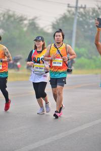 BIB: 17716, 1637
                            <button type="button" onclick="openModal(9103395)" class="btn btn-primary btn-sm float-right btn-popup" data-toggle="modal" data-target=".modal-high-quality">
                        <i class="fas fa-shopping-cart"></i> Add to Cart
                    </button>
                                            <button type="button" onclick="isThisMe(9103395, true)" class="btn btn-success btn-sm float-right btn-popup btn-isme hidden" data-toggle="tooltip" data-placement="bottom" title="นี่คือรูปของคุณใช่ไหม คลิกที่นี่เพื่อเอาเข้าอัลบั้ม">
                        <i class="fas fa-plus"></i> Add to album
                    </button>
                    <button type="button" onclick="isThisMe(9103395, false)" class="btn btn-warning btn-sm float-right btn-popup btn-isnotme hidden">
                        <i class="fas fa-ban"></i> Remove from album
                    </button>