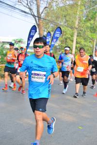 BIB: 300, 42090
                            <button type="button" onclick="openModal(9342276)" class="btn btn-primary btn-sm float-right btn-popup" data-toggle="modal" data-target=".modal-high-quality">
                        <i class="fas fa-shopping-cart"></i> Add to Cart
                    </button>
                                            <button type="button" onclick="isThisMe(9342276, true)" class="btn btn-success btn-sm float-right btn-popup btn-isme hidden" data-toggle="tooltip" data-placement="bottom" title="นี่คือรูปของคุณใช่ไหม คลิกที่นี่เพื่อเอาเข้าอัลบั้ม">
                        <i class="fas fa-plus"></i> Add to album
                    </button>
                    <button type="button" onclick="isThisMe(9342276, false)" class="btn btn-warning btn-sm float-right btn-popup btn-isnotme hidden">
                        <i class="fas fa-ban"></i> Remove from album
                    </button>