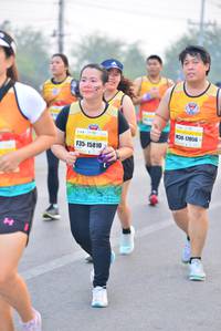BIB: 17056, 15810
                            <button type="button" onclick="openModal(9206631)" class="btn btn-primary btn-sm float-right btn-popup" data-toggle="modal" data-target=".modal-high-quality">
                        <i class="fas fa-shopping-cart"></i> Add to Cart
                    </button>
                                            <button type="button" onclick="isThisMe(9206631, true)" class="btn btn-success btn-sm float-right btn-popup btn-isme hidden" data-toggle="tooltip" data-placement="bottom" title="นี่คือรูปของคุณใช่ไหม คลิกที่นี่เพื่อเอาเข้าอัลบั้ม">
                        <i class="fas fa-plus"></i> Add to album
                    </button>
                    <button type="button" onclick="isThisMe(9206631, false)" class="btn btn-warning btn-sm float-right btn-popup btn-isnotme hidden">
                        <i class="fas fa-ban"></i> Remove from album
                    </button>