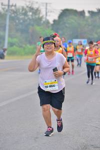 BIB: 16642
                            <button type="button" onclick="openModal(9085721)" class="btn btn-primary btn-sm float-right btn-popup" data-toggle="modal" data-target=".modal-high-quality">
                        <i class="fas fa-shopping-cart"></i> Add to Cart
                    </button>
                                            <button type="button" onclick="isThisMe(9085721, true)" class="btn btn-success btn-sm float-right btn-popup btn-isme hidden" data-toggle="tooltip" data-placement="bottom" title="นี่คือรูปของคุณใช่ไหม คลิกที่นี่เพื่อเอาเข้าอัลบั้ม">
                        <i class="fas fa-plus"></i> Add to album
                    </button>
                    <button type="button" onclick="isThisMe(9085721, false)" class="btn btn-warning btn-sm float-right btn-popup btn-isnotme hidden">
                        <i class="fas fa-ban"></i> Remove from album
                    </button>