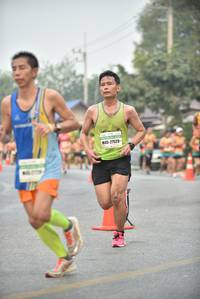 BIB: 27529
                            <button type="button" onclick="openModal(7930591)" class="btn btn-primary btn-sm float-right btn-popup" data-toggle="modal" data-target=".modal-high-quality">
                        <i class="fas fa-shopping-cart"></i> Add to Cart
                    </button>
                                            <button type="button" onclick="isThisMe(7930591, true)" class="btn btn-success btn-sm float-right btn-popup btn-isme hidden" data-toggle="tooltip" data-placement="bottom" title="นี่คือรูปของคุณใช่ไหม คลิกที่นี่เพื่อเอาเข้าอัลบั้ม">
                        <i class="fas fa-plus"></i> Add to album
                    </button>
                    <button type="button" onclick="isThisMe(7930591, false)" class="btn btn-warning btn-sm float-right btn-popup btn-isnotme hidden">
                        <i class="fas fa-ban"></i> Remove from album
                    </button>