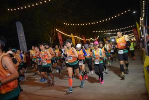 BIB: 
                            <button type="button" onclick="openModal(9041875)" class="btn btn-primary btn-sm float-right btn-popup" data-toggle="modal" data-target=".modal-high-quality">
                        <i class="fas fa-shopping-cart"></i> Add to Cart
                    </button>
                                            <button type="button" onclick="isThisMe(9041875, true)" class="btn btn-success btn-sm float-right btn-popup btn-isme hidden" data-toggle="tooltip" data-placement="bottom" title="นี่คือรูปของคุณใช่ไหม คลิกที่นี่เพื่อเอาเข้าอัลบั้ม">
                        <i class="fas fa-plus"></i> Add to album
                    </button>
                    <button type="button" onclick="isThisMe(9041875, false)" class="btn btn-warning btn-sm float-right btn-popup btn-isnotme hidden">
                        <i class="fas fa-ban"></i> Remove from album
                    </button>