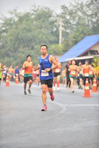 BIB: 
                            <button type="button" onclick="openModal(8038011)" class="btn btn-primary btn-sm float-right btn-popup" data-toggle="modal" data-target=".modal-high-quality">
                        <i class="fas fa-shopping-cart"></i> Add to Cart
                    </button>
                                            <button type="button" onclick="isThisMe(8038011, true)" class="btn btn-success btn-sm float-right btn-popup btn-isme hidden" data-toggle="tooltip" data-placement="bottom" title="นี่คือรูปของคุณใช่ไหม คลิกที่นี่เพื่อเอาเข้าอัลบั้ม">
                        <i class="fas fa-plus"></i> Add to album
                    </button>
                    <button type="button" onclick="isThisMe(8038011, false)" class="btn btn-warning btn-sm float-right btn-popup btn-isnotme hidden">
                        <i class="fas fa-ban"></i> Remove from album
                    </button>
