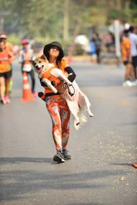 BIB: 
                            <button type="button" onclick="openModal(9058731)" class="btn btn-primary btn-sm float-right btn-popup" data-toggle="modal" data-target=".modal-high-quality">
                        <i class="fas fa-shopping-cart"></i> Add to Cart
                    </button>
                                            <button type="button" onclick="isThisMe(9058731, true)" class="btn btn-success btn-sm float-right btn-popup btn-isme hidden" data-toggle="tooltip" data-placement="bottom" title="นี่คือรูปของคุณใช่ไหม คลิกที่นี่เพื่อเอาเข้าอัลบั้ม">
                        <i class="fas fa-plus"></i> Add to album
                    </button>
                    <button type="button" onclick="isThisMe(9058731, false)" class="btn btn-warning btn-sm float-right btn-popup btn-isnotme hidden">
                        <i class="fas fa-ban"></i> Remove from album
                    </button>