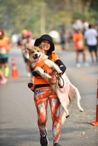 BIB: 
                            <button type="button" onclick="openModal(9058803)" class="btn btn-primary btn-sm float-right btn-popup" data-toggle="modal" data-target=".modal-high-quality">
                        <i class="fas fa-shopping-cart"></i> Add to Cart
                    </button>
                                            <button type="button" onclick="isThisMe(9058803, true)" class="btn btn-success btn-sm float-right btn-popup btn-isme hidden" data-toggle="tooltip" data-placement="bottom" title="นี่คือรูปของคุณใช่ไหม คลิกที่นี่เพื่อเอาเข้าอัลบั้ม">
                        <i class="fas fa-plus"></i> Add to album
                    </button>
                    <button type="button" onclick="isThisMe(9058803, false)" class="btn btn-warning btn-sm float-right btn-popup btn-isnotme hidden">
                        <i class="fas fa-ban"></i> Remove from album
                    </button>