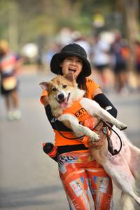 BIB: 
                            <button type="button" onclick="openModal(9058827)" class="btn btn-primary btn-sm float-right btn-popup" data-toggle="modal" data-target=".modal-high-quality">
                        <i class="fas fa-shopping-cart"></i> Add to Cart
                    </button>
                                            <button type="button" onclick="isThisMe(9058827, true)" class="btn btn-success btn-sm float-right btn-popup btn-isme hidden" data-toggle="tooltip" data-placement="bottom" title="นี่คือรูปของคุณใช่ไหม คลิกที่นี่เพื่อเอาเข้าอัลบั้ม">
                        <i class="fas fa-plus"></i> Add to album
                    </button>
                    <button type="button" onclick="isThisMe(9058827, false)" class="btn btn-warning btn-sm float-right btn-popup btn-isnotme hidden">
                        <i class="fas fa-ban"></i> Remove from album
                    </button>