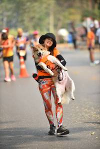 BIB: 
                            <button type="button" onclick="openModal(9058766)" class="btn btn-primary btn-sm float-right btn-popup" data-toggle="modal" data-target=".modal-high-quality">
                        <i class="fas fa-shopping-cart"></i> Add to Cart
                    </button>
                                            <button type="button" onclick="isThisMe(9058766, true)" class="btn btn-success btn-sm float-right btn-popup btn-isme hidden" data-toggle="tooltip" data-placement="bottom" title="นี่คือรูปของคุณใช่ไหม คลิกที่นี่เพื่อเอาเข้าอัลบั้ม">
                        <i class="fas fa-plus"></i> Add to album
                    </button>
                    <button type="button" onclick="isThisMe(9058766, false)" class="btn btn-warning btn-sm float-right btn-popup btn-isnotme hidden">
                        <i class="fas fa-ban"></i> Remove from album
                    </button>