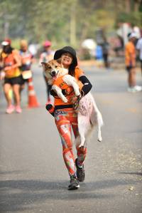 BIB: 
                            <button type="button" onclick="openModal(9058747)" class="btn btn-primary btn-sm float-right btn-popup" data-toggle="modal" data-target=".modal-high-quality">
                        <i class="fas fa-shopping-cart"></i> Add to Cart
                    </button>
                                            <button type="button" onclick="isThisMe(9058747, true)" class="btn btn-success btn-sm float-right btn-popup btn-isme hidden" data-toggle="tooltip" data-placement="bottom" title="นี่คือรูปของคุณใช่ไหม คลิกที่นี่เพื่อเอาเข้าอัลบั้ม">
                        <i class="fas fa-plus"></i> Add to album
                    </button>
                    <button type="button" onclick="isThisMe(9058747, false)" class="btn btn-warning btn-sm float-right btn-popup btn-isnotme hidden">
                        <i class="fas fa-ban"></i> Remove from album
                    </button>