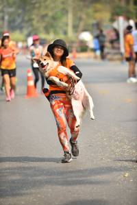 BIB: 
                            <button type="button" onclick="openModal(9058734)" class="btn btn-primary btn-sm float-right btn-popup" data-toggle="modal" data-target=".modal-high-quality">
                        <i class="fas fa-shopping-cart"></i> Add to Cart
                    </button>
                                            <button type="button" onclick="isThisMe(9058734, true)" class="btn btn-success btn-sm float-right btn-popup btn-isme hidden" data-toggle="tooltip" data-placement="bottom" title="นี่คือรูปของคุณใช่ไหม คลิกที่นี่เพื่อเอาเข้าอัลบั้ม">
                        <i class="fas fa-plus"></i> Add to album
                    </button>
                    <button type="button" onclick="isThisMe(9058734, false)" class="btn btn-warning btn-sm float-right btn-popup btn-isnotme hidden">
                        <i class="fas fa-ban"></i> Remove from album
                    </button>