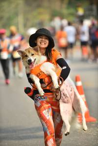 BIB: 
                            <button type="button" onclick="openModal(9058816)" class="btn btn-primary btn-sm float-right btn-popup" data-toggle="modal" data-target=".modal-high-quality">
                        <i class="fas fa-shopping-cart"></i> Add to Cart
                    </button>
                                            <button type="button" onclick="isThisMe(9058816, true)" class="btn btn-success btn-sm float-right btn-popup btn-isme hidden" data-toggle="tooltip" data-placement="bottom" title="นี่คือรูปของคุณใช่ไหม คลิกที่นี่เพื่อเอาเข้าอัลบั้ม">
                        <i class="fas fa-plus"></i> Add to album
                    </button>
                    <button type="button" onclick="isThisMe(9058816, false)" class="btn btn-warning btn-sm float-right btn-popup btn-isnotme hidden">
                        <i class="fas fa-ban"></i> Remove from album
                    </button>