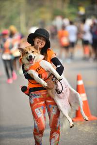 BIB: 
                            <button type="button" onclick="openModal(9058807)" class="btn btn-primary btn-sm float-right btn-popup" data-toggle="modal" data-target=".modal-high-quality">
                        <i class="fas fa-shopping-cart"></i> Add to Cart
                    </button>
                                            <button type="button" onclick="isThisMe(9058807, true)" class="btn btn-success btn-sm float-right btn-popup btn-isme hidden" data-toggle="tooltip" data-placement="bottom" title="นี่คือรูปของคุณใช่ไหม คลิกที่นี่เพื่อเอาเข้าอัลบั้ม">
                        <i class="fas fa-plus"></i> Add to album
                    </button>
                    <button type="button" onclick="isThisMe(9058807, false)" class="btn btn-warning btn-sm float-right btn-popup btn-isnotme hidden">
                        <i class="fas fa-ban"></i> Remove from album
                    </button>