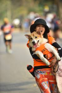 BIB: 
                            <button type="button" onclick="openModal(9058822)" class="btn btn-primary btn-sm float-right btn-popup" data-toggle="modal" data-target=".modal-high-quality">
                        <i class="fas fa-shopping-cart"></i> Add to Cart
                    </button>
                                            <button type="button" onclick="isThisMe(9058822, true)" class="btn btn-success btn-sm float-right btn-popup btn-isme hidden" data-toggle="tooltip" data-placement="bottom" title="นี่คือรูปของคุณใช่ไหม คลิกที่นี่เพื่อเอาเข้าอัลบั้ม">
                        <i class="fas fa-plus"></i> Add to album
                    </button>
                    <button type="button" onclick="isThisMe(9058822, false)" class="btn btn-warning btn-sm float-right btn-popup btn-isnotme hidden">
                        <i class="fas fa-ban"></i> Remove from album
                    </button>