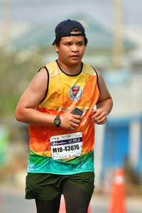 BIB: 195, 43076
                            <button type="button" onclick="openModal(9702953)" class="btn btn-primary btn-sm float-right btn-popup" data-toggle="modal" data-target=".modal-high-quality">
                        <i class="fas fa-shopping-cart"></i> Add to Cart
                    </button>
                                            <button type="button" onclick="isThisMe(9702953, true)" class="btn btn-success btn-sm float-right btn-popup btn-isme hidden" data-toggle="tooltip" data-placement="bottom" title="นี่คือรูปของคุณใช่ไหม คลิกที่นี่เพื่อเอาเข้าอัลบั้ม">
                        <i class="fas fa-plus"></i> Add to album
                    </button>
                    <button type="button" onclick="isThisMe(9702953, false)" class="btn btn-warning btn-sm float-right btn-popup btn-isnotme hidden">
                        <i class="fas fa-ban"></i> Remove from album
                    </button>