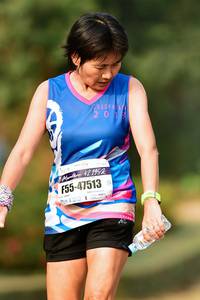 BIB: 2013, 421952, 47513
                            <button type="button" onclick="openModal(9284905)" class="btn btn-primary btn-sm float-right btn-popup" data-toggle="modal" data-target=".modal-high-quality">
                        <i class="fas fa-shopping-cart"></i> Add to Cart
                    </button>
                                            <button type="button" onclick="isThisMe(9284905, true)" class="btn btn-success btn-sm float-right btn-popup btn-isme hidden" data-toggle="tooltip" data-placement="bottom" title="นี่คือรูปของคุณใช่ไหม คลิกที่นี่เพื่อเอาเข้าอัลบั้ม">
                        <i class="fas fa-plus"></i> Add to album
                    </button>
                    <button type="button" onclick="isThisMe(9284905, false)" class="btn btn-warning btn-sm float-right btn-popup btn-isnotme hidden">
                        <i class="fas fa-ban"></i> Remove from album
                    </button>