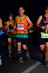 BIB: 42810, 40653, 41311
                            <button type="button" onclick="openModal(8356874)" class="btn btn-primary btn-sm float-right btn-popup" data-toggle="modal" data-target=".modal-high-quality">
                        <i class="fas fa-shopping-cart"></i> Add to Cart
                    </button>
                                            <button type="button" onclick="isThisMe(8356874, true)" class="btn btn-success btn-sm float-right btn-popup btn-isme hidden" data-toggle="tooltip" data-placement="bottom" title="นี่คือรูปของคุณใช่ไหม คลิกที่นี่เพื่อเอาเข้าอัลบั้ม">
                        <i class="fas fa-plus"></i> Add to album
                    </button>
                    <button type="button" onclick="isThisMe(8356874, false)" class="btn btn-warning btn-sm float-right btn-popup btn-isnotme hidden">
                        <i class="fas fa-ban"></i> Remove from album
                    </button>