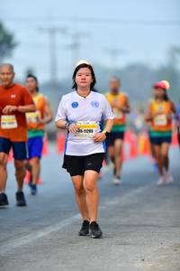 BIB: 11285
                            <button type="button" onclick="openModal(8567302)" class="btn btn-primary btn-sm float-right btn-popup" data-toggle="modal" data-target=".modal-high-quality">
                        <i class="fas fa-shopping-cart"></i> Add to Cart
                    </button>
                                            <button type="button" onclick="isThisMe(8567302, true)" class="btn btn-success btn-sm float-right btn-popup btn-isme hidden" data-toggle="tooltip" data-placement="bottom" title="นี่คือรูปของคุณใช่ไหม คลิกที่นี่เพื่อเอาเข้าอัลบั้ม">
                        <i class="fas fa-plus"></i> Add to album
                    </button>
                    <button type="button" onclick="isThisMe(8567302, false)" class="btn btn-warning btn-sm float-right btn-popup btn-isnotme hidden">
                        <i class="fas fa-ban"></i> Remove from album
                    </button>