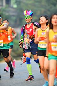 BIB: 1144, 203
                            <button type="button" onclick="openModal(8688928)" class="btn btn-primary btn-sm float-right btn-popup" data-toggle="modal" data-target=".modal-high-quality">
                        <i class="fas fa-shopping-cart"></i> Add to Cart
                    </button>
                                            <button type="button" onclick="isThisMe(8688928, true)" class="btn btn-success btn-sm float-right btn-popup btn-isme hidden" data-toggle="tooltip" data-placement="bottom" title="นี่คือรูปของคุณใช่ไหม คลิกที่นี่เพื่อเอาเข้าอัลบั้ม">
                        <i class="fas fa-plus"></i> Add to album
                    </button>
                    <button type="button" onclick="isThisMe(8688928, false)" class="btn btn-warning btn-sm float-right btn-popup btn-isnotme hidden">
                        <i class="fas fa-ban"></i> Remove from album
                    </button>