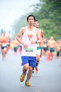 BIB: 27959
                            <button type="button" onclick="openModal(7452962)" class="btn btn-primary btn-sm float-right btn-popup" data-toggle="modal" data-target=".modal-high-quality">
                        <i class="fas fa-shopping-cart"></i> Add to Cart
                    </button>
                                            <button type="button" onclick="isThisMe(7452962, true)" class="btn btn-success btn-sm float-right btn-popup btn-isme hidden" data-toggle="tooltip" data-placement="bottom" title="นี่คือรูปของคุณใช่ไหม คลิกที่นี่เพื่อเอาเข้าอัลบั้ม">
                        <i class="fas fa-plus"></i> Add to album
                    </button>
                    <button type="button" onclick="isThisMe(7452962, false)" class="btn btn-warning btn-sm float-right btn-popup btn-isnotme hidden">
                        <i class="fas fa-ban"></i> Remove from album
                    </button>