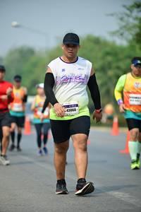 BIB: 43066
                            <button type="button" onclick="openModal(7852434)" class="btn btn-primary btn-sm float-right btn-popup" data-toggle="modal" data-target=".modal-high-quality">
                        <i class="fas fa-shopping-cart"></i> Add to Cart
                    </button>
                                            <button type="button" onclick="isThisMe(7852434, true)" class="btn btn-success btn-sm float-right btn-popup btn-isme hidden" data-toggle="tooltip" data-placement="bottom" title="นี่คือรูปของคุณใช่ไหม คลิกที่นี่เพื่อเอาเข้าอัลบั้ม">
                        <i class="fas fa-plus"></i> Add to album
                    </button>
                    <button type="button" onclick="isThisMe(7852434, false)" class="btn btn-warning btn-sm float-right btn-popup btn-isnotme hidden">
                        <i class="fas fa-ban"></i> Remove from album
                    </button>