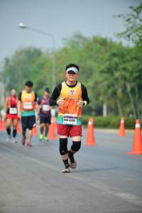 BIB: 4041205
                            <button type="button" onclick="openModal(7853978)" class="btn btn-primary btn-sm float-right btn-popup" data-toggle="modal" data-target=".modal-high-quality">
                        <i class="fas fa-shopping-cart"></i> Add to Cart
                    </button>
                                            <button type="button" onclick="isThisMe(7853978, true)" class="btn btn-success btn-sm float-right btn-popup btn-isme hidden" data-toggle="tooltip" data-placement="bottom" title="นี่คือรูปของคุณใช่ไหม คลิกที่นี่เพื่อเอาเข้าอัลบั้ม">
                        <i class="fas fa-plus"></i> Add to album
                    </button>
                    <button type="button" onclick="isThisMe(7853978, false)" class="btn btn-warning btn-sm float-right btn-popup btn-isnotme hidden">
                        <i class="fas fa-ban"></i> Remove from album
                    </button>