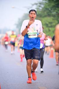 BIB: 27482
                            <button type="button" onclick="openModal(7503464)" class="btn btn-primary btn-sm float-right btn-popup" data-toggle="modal" data-target=".modal-high-quality">
                        <i class="fas fa-shopping-cart"></i> Add to Cart
                    </button>
                                            <button type="button" onclick="isThisMe(7503464, true)" class="btn btn-success btn-sm float-right btn-popup btn-isme hidden" data-toggle="tooltip" data-placement="bottom" title="นี่คือรูปของคุณใช่ไหม คลิกที่นี่เพื่อเอาเข้าอัลบั้ม">
                        <i class="fas fa-plus"></i> Add to album
                    </button>
                    <button type="button" onclick="isThisMe(7503464, false)" class="btn btn-warning btn-sm float-right btn-popup btn-isnotme hidden">
                        <i class="fas fa-ban"></i> Remove from album
                    </button>