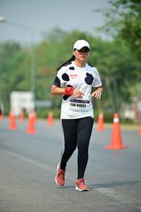 BIB: 84053
                            <button type="button" onclick="openModal(7852828)" class="btn btn-primary btn-sm float-right btn-popup" data-toggle="modal" data-target=".modal-high-quality">
                        <i class="fas fa-shopping-cart"></i> Add to Cart
                    </button>
                                            <button type="button" onclick="isThisMe(7852828, true)" class="btn btn-success btn-sm float-right btn-popup btn-isme hidden" data-toggle="tooltip" data-placement="bottom" title="นี่คือรูปของคุณใช่ไหม คลิกที่นี่เพื่อเอาเข้าอัลบั้ม">
                        <i class="fas fa-plus"></i> Add to album
                    </button>
                    <button type="button" onclick="isThisMe(7852828, false)" class="btn btn-warning btn-sm float-right btn-popup btn-isnotme hidden">
                        <i class="fas fa-ban"></i> Remove from album
                    </button>