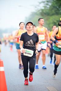 BIB: 25499
                            <button type="button" onclick="openModal(7463986)" class="btn btn-primary btn-sm float-right btn-popup" data-toggle="modal" data-target=".modal-high-quality">
                        <i class="fas fa-shopping-cart"></i> Add to Cart
                    </button>
                                            <button type="button" onclick="isThisMe(7463986, true)" class="btn btn-success btn-sm float-right btn-popup btn-isme hidden" data-toggle="tooltip" data-placement="bottom" title="นี่คือรูปของคุณใช่ไหม คลิกที่นี่เพื่อเอาเข้าอัลบั้ม">
                        <i class="fas fa-plus"></i> Add to album
                    </button>
                    <button type="button" onclick="isThisMe(7463986, false)" class="btn btn-warning btn-sm float-right btn-popup btn-isnotme hidden">
                        <i class="fas fa-ban"></i> Remove from album
                    </button>