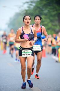 BIB: 26786
                            <button type="button" onclick="openModal(7455062)" class="btn btn-primary btn-sm float-right btn-popup" data-toggle="modal" data-target=".modal-high-quality">
                        <i class="fas fa-shopping-cart"></i> Add to Cart
                    </button>
                                            <button type="button" onclick="isThisMe(7455062, true)" class="btn btn-success btn-sm float-right btn-popup btn-isme hidden" data-toggle="tooltip" data-placement="bottom" title="นี่คือรูปของคุณใช่ไหม คลิกที่นี่เพื่อเอาเข้าอัลบั้ม">
                        <i class="fas fa-plus"></i> Add to album
                    </button>
                    <button type="button" onclick="isThisMe(7455062, false)" class="btn btn-warning btn-sm float-right btn-popup btn-isnotme hidden">
                        <i class="fas fa-ban"></i> Remove from album
                    </button>