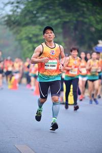 BIB: 25860
                            <button type="button" onclick="openModal(7453511)" class="btn btn-primary btn-sm float-right btn-popup" data-toggle="modal" data-target=".modal-high-quality">
                        <i class="fas fa-shopping-cart"></i> Add to Cart
                    </button>
                                            <button type="button" onclick="isThisMe(7453511, true)" class="btn btn-success btn-sm float-right btn-popup btn-isme hidden" data-toggle="tooltip" data-placement="bottom" title="นี่คือรูปของคุณใช่ไหม คลิกที่นี่เพื่อเอาเข้าอัลบั้ม">
                        <i class="fas fa-plus"></i> Add to album
                    </button>
                    <button type="button" onclick="isThisMe(7453511, false)" class="btn btn-warning btn-sm float-right btn-popup btn-isnotme hidden">
                        <i class="fas fa-ban"></i> Remove from album
                    </button>