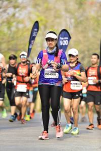 BIB: 47623, 2019
                            <button type="button" onclick="openModal(9268452)" class="btn btn-primary btn-sm float-right btn-popup" data-toggle="modal" data-target=".modal-high-quality">
                        <i class="fas fa-shopping-cart"></i> Add to Cart
                    </button>
                                            <button type="button" onclick="isThisMe(9268452, true)" class="btn btn-success btn-sm float-right btn-popup btn-isme hidden" data-toggle="tooltip" data-placement="bottom" title="นี่คือรูปของคุณใช่ไหม คลิกที่นี่เพื่อเอาเข้าอัลบั้ม">
                        <i class="fas fa-plus"></i> Add to album
                    </button>
                    <button type="button" onclick="isThisMe(9268452, false)" class="btn btn-warning btn-sm float-right btn-popup btn-isnotme hidden">
                        <i class="fas fa-ban"></i> Remove from album
                    </button>