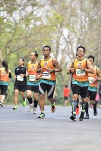 BIB: 21341, 412, 2620923
                            <button type="button" onclick="openModal(7506029)" class="btn btn-primary btn-sm float-right btn-popup" data-toggle="modal" data-target=".modal-high-quality">
                        <i class="fas fa-shopping-cart"></i> Add to Cart
                    </button>
                                            <button type="button" onclick="isThisMe(7506029, true)" class="btn btn-success btn-sm float-right btn-popup btn-isme hidden" data-toggle="tooltip" data-placement="bottom" title="นี่คือรูปของคุณใช่ไหม คลิกที่นี่เพื่อเอาเข้าอัลบั้ม">
                        <i class="fas fa-plus"></i> Add to album
                    </button>
                    <button type="button" onclick="isThisMe(7506029, false)" class="btn btn-warning btn-sm float-right btn-popup btn-isnotme hidden">
                        <i class="fas fa-ban"></i> Remove from album
                    </button>