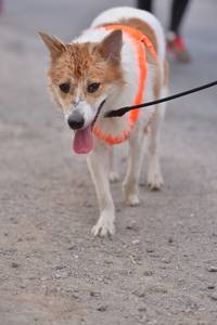 BIB: 
                            <button type="button" onclick="openModal(8852377)" class="btn btn-primary btn-sm float-right btn-popup" data-toggle="modal" data-target=".modal-high-quality">
                        <i class="fas fa-shopping-cart"></i> Add to Cart
                    </button>
                                            <button type="button" onclick="isThisMe(8852377, true)" class="btn btn-success btn-sm float-right btn-popup btn-isme hidden" data-toggle="tooltip" data-placement="bottom" title="นี่คือรูปของคุณใช่ไหม คลิกที่นี่เพื่อเอาเข้าอัลบั้ม">
                        <i class="fas fa-plus"></i> Add to album
                    </button>
                    <button type="button" onclick="isThisMe(8852377, false)" class="btn btn-warning btn-sm float-right btn-popup btn-isnotme hidden">
                        <i class="fas fa-ban"></i> Remove from album
                    </button>