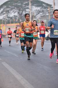 BIB: 2172, 215
                            <button type="button" onclick="openModal(8937325)" class="btn btn-primary btn-sm float-right btn-popup" data-toggle="modal" data-target=".modal-high-quality">
                        <i class="fas fa-shopping-cart"></i> Add to Cart
                    </button>
                                            <button type="button" onclick="isThisMe(8937325, true)" class="btn btn-success btn-sm float-right btn-popup btn-isme hidden" data-toggle="tooltip" data-placement="bottom" title="นี่คือรูปของคุณใช่ไหม คลิกที่นี่เพื่อเอาเข้าอัลบั้ม">
                        <i class="fas fa-plus"></i> Add to album
                    </button>
                    <button type="button" onclick="isThisMe(8937325, false)" class="btn btn-warning btn-sm float-right btn-popup btn-isnotme hidden">
                        <i class="fas fa-ban"></i> Remove from album
                    </button>