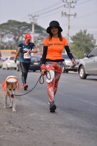 BIB: 
                            <button type="button" onclick="openModal(8852310)" class="btn btn-primary btn-sm float-right btn-popup" data-toggle="modal" data-target=".modal-high-quality">
                        <i class="fas fa-shopping-cart"></i> Add to Cart
                    </button>
                                            <button type="button" onclick="isThisMe(8852310, true)" class="btn btn-success btn-sm float-right btn-popup btn-isme hidden" data-toggle="tooltip" data-placement="bottom" title="นี่คือรูปของคุณใช่ไหม คลิกที่นี่เพื่อเอาเข้าอัลบั้ม">
                        <i class="fas fa-plus"></i> Add to album
                    </button>
                    <button type="button" onclick="isThisMe(8852310, false)" class="btn btn-warning btn-sm float-right btn-popup btn-isnotme hidden">
                        <i class="fas fa-ban"></i> Remove from album
                    </button>