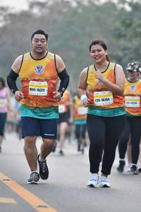 BIB: 16372, 16164
                            <button type="button" onclick="openModal(7736569)" class="btn btn-primary btn-sm float-right btn-popup" data-toggle="modal" data-target=".modal-high-quality">
                        <i class="fas fa-shopping-cart"></i> Add to Cart
                    </button>
                                            <button type="button" onclick="isThisMe(7736569, true)" class="btn btn-success btn-sm float-right btn-popup btn-isme hidden" data-toggle="tooltip" data-placement="bottom" title="นี่คือรูปของคุณใช่ไหม คลิกที่นี่เพื่อเอาเข้าอัลบั้ม">
                        <i class="fas fa-plus"></i> Add to album
                    </button>
                    <button type="button" onclick="isThisMe(7736569, false)" class="btn btn-warning btn-sm float-right btn-popup btn-isnotme hidden">
                        <i class="fas fa-ban"></i> Remove from album
                    </button>