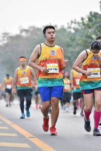 BIB: 17163, 17096
                            <button type="button" onclick="openModal(7742597)" class="btn btn-primary btn-sm float-right btn-popup" data-toggle="modal" data-target=".modal-high-quality">
                        <i class="fas fa-shopping-cart"></i> Add to Cart
                    </button>
                                            <button type="button" onclick="isThisMe(7742597, true)" class="btn btn-success btn-sm float-right btn-popup btn-isme hidden" data-toggle="tooltip" data-placement="bottom" title="นี่คือรูปของคุณใช่ไหม คลิกที่นี่เพื่อเอาเข้าอัลบั้ม">
                        <i class="fas fa-plus"></i> Add to album
                    </button>
                    <button type="button" onclick="isThisMe(7742597, false)" class="btn btn-warning btn-sm float-right btn-popup btn-isnotme hidden">
                        <i class="fas fa-ban"></i> Remove from album
                    </button>