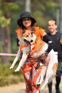 BIB: 
                            <button type="button" onclick="openModal(7581696)" class="btn btn-primary btn-sm float-right btn-popup" data-toggle="modal" data-target=".modal-high-quality">
                        <i class="fas fa-shopping-cart"></i> Add to Cart
                    </button>
                                            <button type="button" onclick="isThisMe(7581696, true)" class="btn btn-success btn-sm float-right btn-popup btn-isme hidden" data-toggle="tooltip" data-placement="bottom" title="นี่คือรูปของคุณใช่ไหม คลิกที่นี่เพื่อเอาเข้าอัลบั้ม">
                        <i class="fas fa-plus"></i> Add to album
                    </button>
                    <button type="button" onclick="isThisMe(7581696, false)" class="btn btn-warning btn-sm float-right btn-popup btn-isnotme hidden">
                        <i class="fas fa-ban"></i> Remove from album
                    </button>