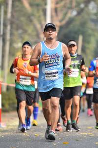 BIB: 47422
                            <button type="button" onclick="openModal(8023160)" class="btn btn-primary btn-sm float-right btn-popup" data-toggle="modal" data-target=".modal-high-quality">
                        <i class="fas fa-shopping-cart"></i> Add to Cart
                    </button>
                                            <button type="button" onclick="isThisMe(8023160, true)" class="btn btn-success btn-sm float-right btn-popup btn-isme hidden" data-toggle="tooltip" data-placement="bottom" title="นี่คือรูปของคุณใช่ไหม คลิกที่นี่เพื่อเอาเข้าอัลบั้ม">
                        <i class="fas fa-plus"></i> Add to album
                    </button>
                    <button type="button" onclick="isThisMe(8023160, false)" class="btn btn-warning btn-sm float-right btn-popup btn-isnotme hidden">
                        <i class="fas fa-ban"></i> Remove from album
                    </button>