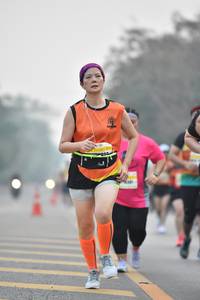 BIB: 
                            <button type="button" onclick="openModal(7724320)" class="btn btn-primary btn-sm float-right btn-popup" data-toggle="modal" data-target=".modal-high-quality">
                        <i class="fas fa-shopping-cart"></i> Add to Cart
                    </button>
                                            <button type="button" onclick="isThisMe(7724320, true)" class="btn btn-success btn-sm float-right btn-popup btn-isme hidden" data-toggle="tooltip" data-placement="bottom" title="นี่คือรูปของคุณใช่ไหม คลิกที่นี่เพื่อเอาเข้าอัลบั้ม">
                        <i class="fas fa-plus"></i> Add to album
                    </button>
                    <button type="button" onclick="isThisMe(7724320, false)" class="btn btn-warning btn-sm float-right btn-popup btn-isnotme hidden">
                        <i class="fas fa-ban"></i> Remove from album
                    </button>