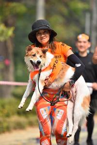 BIB: 
                            <button type="button" onclick="openModal(7581592)" class="btn btn-primary btn-sm float-right btn-popup" data-toggle="modal" data-target=".modal-high-quality">
                        <i class="fas fa-shopping-cart"></i> Add to Cart
                    </button>
                                            <button type="button" onclick="isThisMe(7581592, true)" class="btn btn-success btn-sm float-right btn-popup btn-isme hidden" data-toggle="tooltip" data-placement="bottom" title="นี่คือรูปของคุณใช่ไหม คลิกที่นี่เพื่อเอาเข้าอัลบั้ม">
                        <i class="fas fa-plus"></i> Add to album
                    </button>
                    <button type="button" onclick="isThisMe(7581592, false)" class="btn btn-warning btn-sm float-right btn-popup btn-isnotme hidden">
                        <i class="fas fa-ban"></i> Remove from album
                    </button>