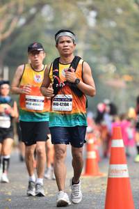 BIB: 42104, 404
                            <button type="button" onclick="openModal(8026789)" class="btn btn-primary btn-sm float-right btn-popup" data-toggle="modal" data-target=".modal-high-quality">
                        <i class="fas fa-shopping-cart"></i> Add to Cart
                    </button>
                                            <button type="button" onclick="isThisMe(8026789, true)" class="btn btn-success btn-sm float-right btn-popup btn-isme hidden" data-toggle="tooltip" data-placement="bottom" title="นี่คือรูปของคุณใช่ไหม คลิกที่นี่เพื่อเอาเข้าอัลบั้ม">
                        <i class="fas fa-plus"></i> Add to album
                    </button>
                    <button type="button" onclick="isThisMe(8026789, false)" class="btn btn-warning btn-sm float-right btn-popup btn-isnotme hidden">
                        <i class="fas fa-ban"></i> Remove from album
                    </button>