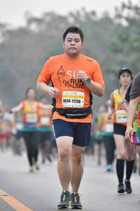BIB: 11736
                            <button type="button" onclick="openModal(7732708)" class="btn btn-primary btn-sm float-right btn-popup" data-toggle="modal" data-target=".modal-high-quality">
                        <i class="fas fa-shopping-cart"></i> Add to Cart
                    </button>
                                            <button type="button" onclick="isThisMe(7732708, true)" class="btn btn-success btn-sm float-right btn-popup btn-isme hidden" data-toggle="tooltip" data-placement="bottom" title="นี่คือรูปของคุณใช่ไหม คลิกที่นี่เพื่อเอาเข้าอัลบั้ม">
                        <i class="fas fa-plus"></i> Add to album
                    </button>
                    <button type="button" onclick="isThisMe(7732708, false)" class="btn btn-warning btn-sm float-right btn-popup btn-isnotme hidden">
                        <i class="fas fa-ban"></i> Remove from album
                    </button>