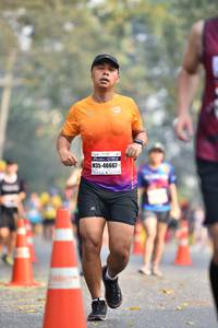 BIB: 46667
                            <button type="button" onclick="openModal(8025161)" class="btn btn-primary btn-sm float-right btn-popup" data-toggle="modal" data-target=".modal-high-quality">
                        <i class="fas fa-shopping-cart"></i> Add to Cart
                    </button>
                                            <button type="button" onclick="isThisMe(8025161, true)" class="btn btn-success btn-sm float-right btn-popup btn-isme hidden" data-toggle="tooltip" data-placement="bottom" title="นี่คือรูปของคุณใช่ไหม คลิกที่นี่เพื่อเอาเข้าอัลบั้ม">
                        <i class="fas fa-plus"></i> Add to album
                    </button>
                    <button type="button" onclick="isThisMe(8025161, false)" class="btn btn-warning btn-sm float-right btn-popup btn-isnotme hidden">
                        <i class="fas fa-ban"></i> Remove from album
                    </button>