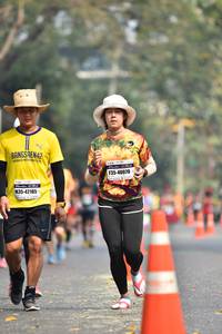 BIB: 40070, 42185
                            <button type="button" onclick="openModal(7576494)" class="btn btn-primary btn-sm float-right btn-popup" data-toggle="modal" data-target=".modal-high-quality">
                        <i class="fas fa-shopping-cart"></i> Add to Cart
                    </button>
                                            <button type="button" onclick="isThisMe(7576494, true)" class="btn btn-success btn-sm float-right btn-popup btn-isme hidden" data-toggle="tooltip" data-placement="bottom" title="นี่คือรูปของคุณใช่ไหม คลิกที่นี่เพื่อเอาเข้าอัลบั้ม">
                        <i class="fas fa-plus"></i> Add to album
                    </button>
                    <button type="button" onclick="isThisMe(7576494, false)" class="btn btn-warning btn-sm float-right btn-popup btn-isnotme hidden">
                        <i class="fas fa-ban"></i> Remove from album
                    </button>