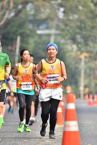 BIB: 459, 47524
                            <button type="button" onclick="openModal(7550941)" class="btn btn-primary btn-sm float-right btn-popup" data-toggle="modal" data-target=".modal-high-quality">
                        <i class="fas fa-shopping-cart"></i> Add to Cart
                    </button>
                                            <button type="button" onclick="isThisMe(7550941, true)" class="btn btn-success btn-sm float-right btn-popup btn-isme hidden" data-toggle="tooltip" data-placement="bottom" title="นี่คือรูปของคุณใช่ไหม คลิกที่นี่เพื่อเอาเข้าอัลบั้ม">
                        <i class="fas fa-plus"></i> Add to album
                    </button>
                    <button type="button" onclick="isThisMe(7550941, false)" class="btn btn-warning btn-sm float-right btn-popup btn-isnotme hidden">
                        <i class="fas fa-ban"></i> Remove from album
                    </button>